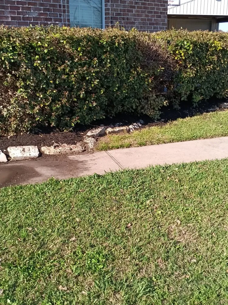 Top-rated landscaping services in Houston, TX - Garcia Landscaping