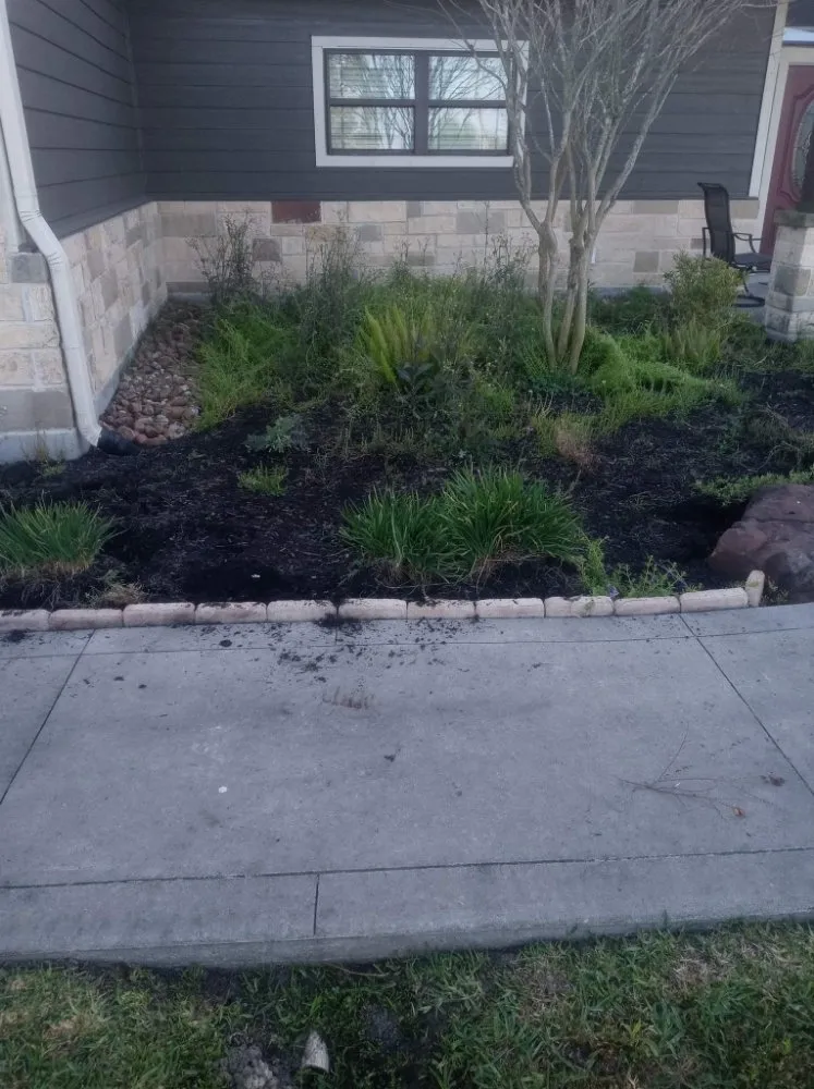 Custom lawn mowing service in Houston, TX - Garcia Landscaping