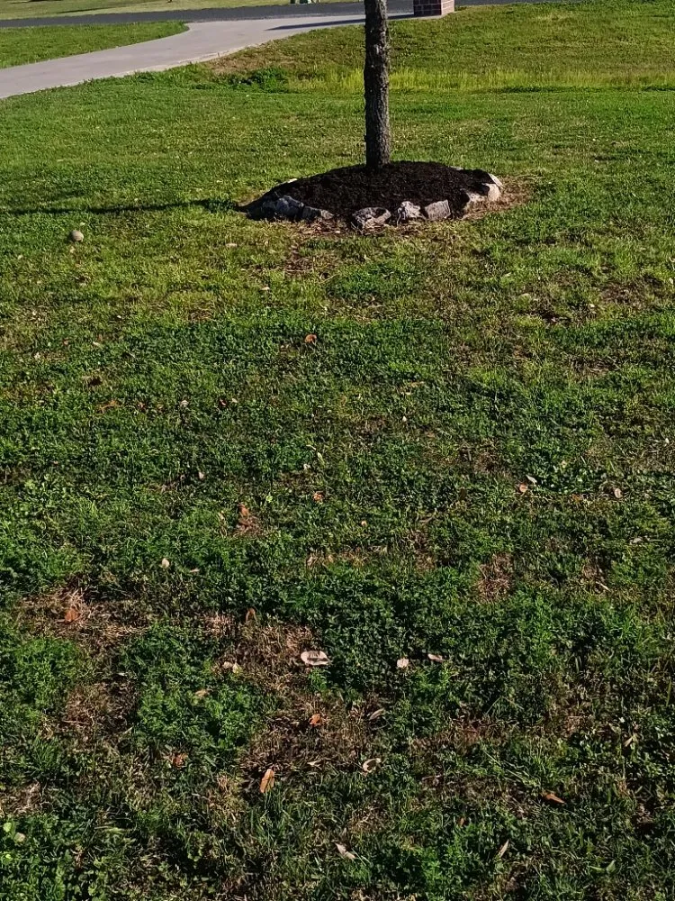 Trusted landscape installation in Houston, TX by Garcia Landscaping