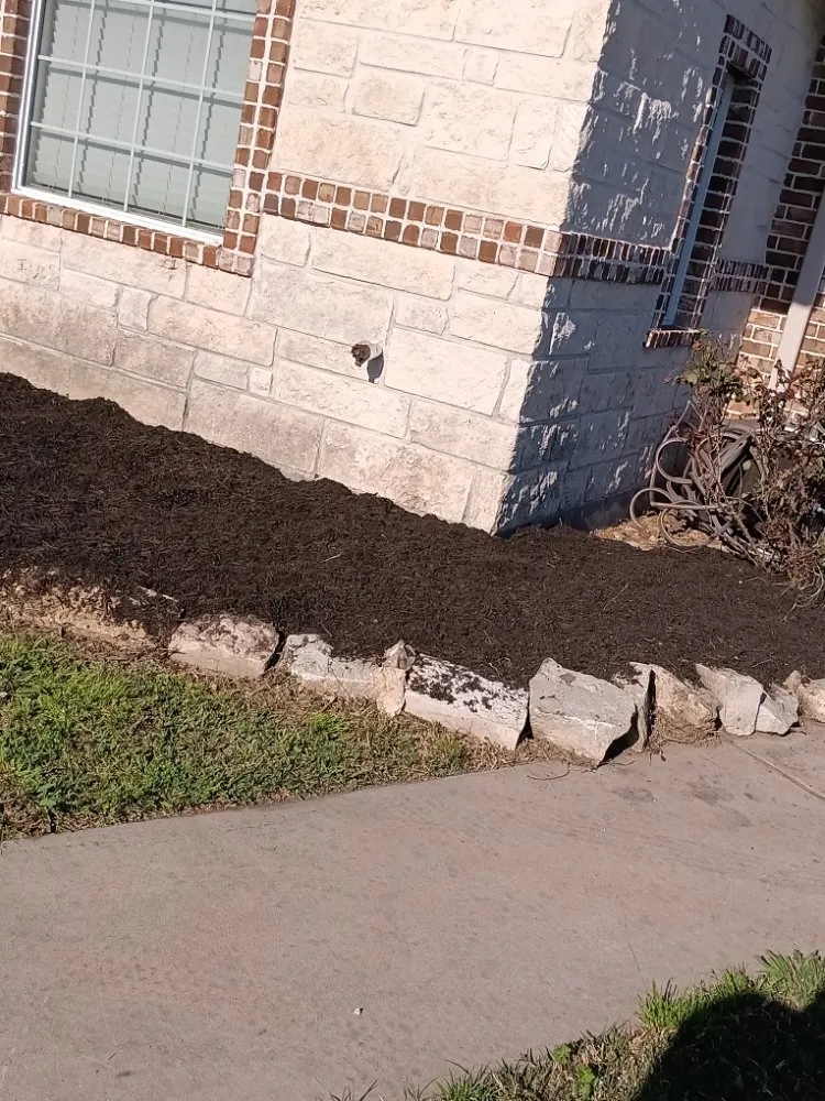 Top-rated yard maintenance for beautiful yards across Houston, TX - Garcia Landscaping