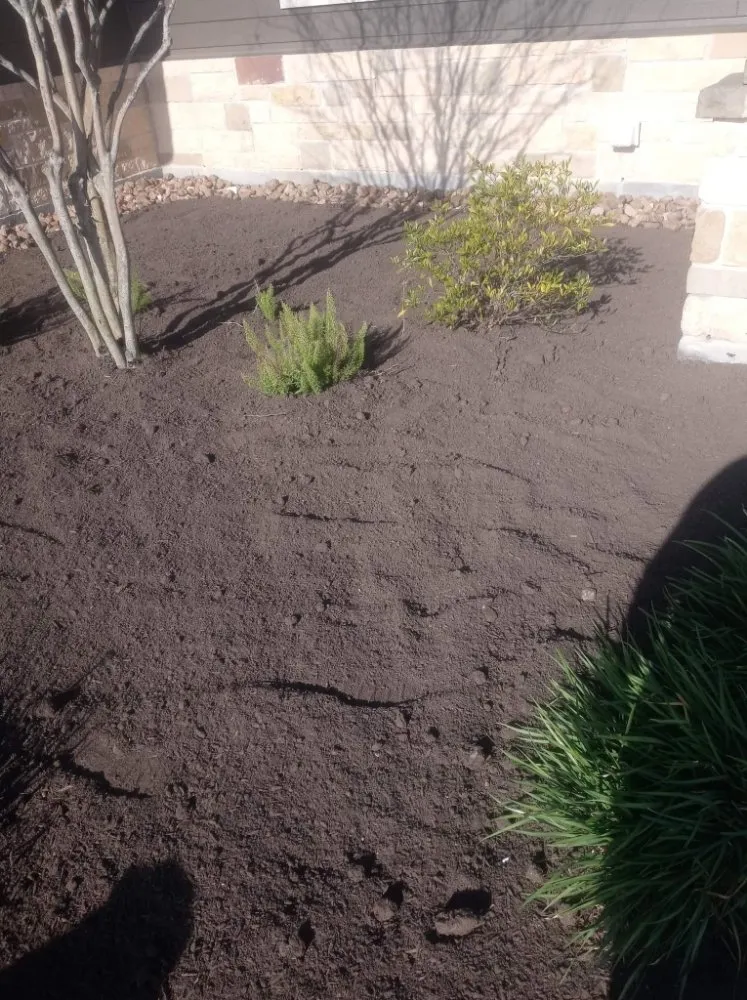 Local landscape installation in Houston, TX by Garcia Landscaping