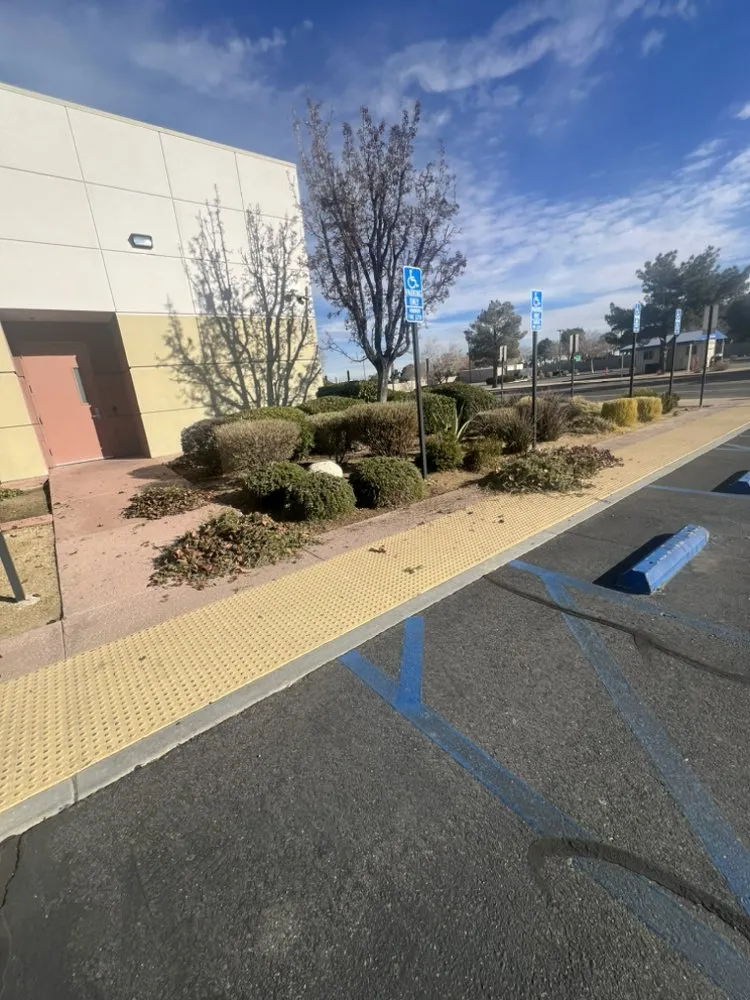 Affordable garden landscaping in Lancaster, CA by Garcia Landscaping