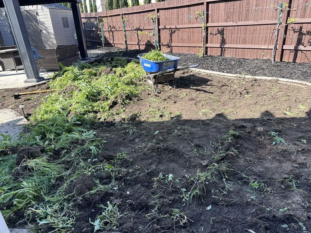 Trusted residential landscaping in Lincoln, CA by Garcia Landscaping