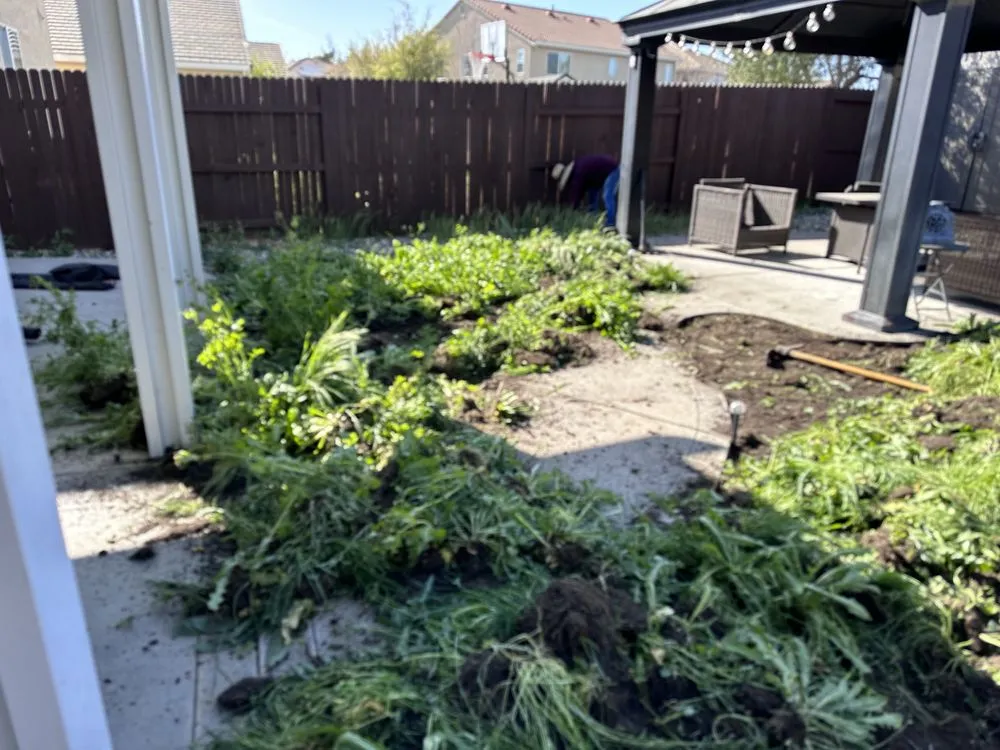 Affordable lawn care service in Lincoln, CA - Garcia Landscaping