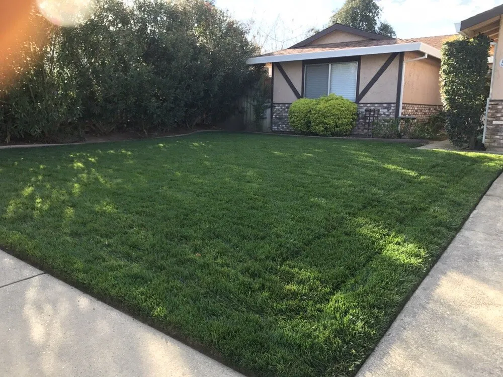 Reliable yard cleanup service in Lincoln, CA - Garcia Landscaping
