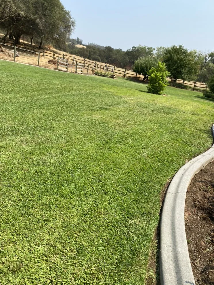 Expert landscape design in Lincoln, CA - Garcia Landscaping