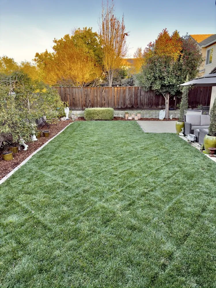 Top-rated landscape installation experts serving Lincoln, CA - Garcia Landscaping