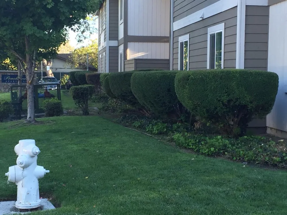 Expert landscape design experts serving Fairfield, CA - Garcia Landscaping Maintanence