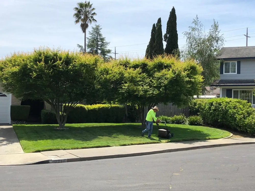 Trusted lawn mowing service experts serving Fairfield, CA - Garcia Landscaping Maintanence