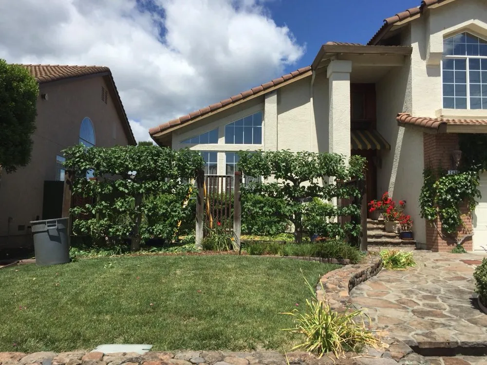 Trusted lawn care service in Fairfield, CA by Garcia Landscaping Maintanence