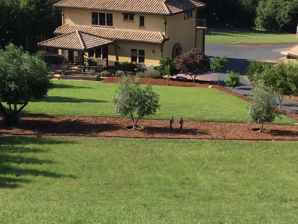 Custom yard cleanup service for beautiful yards across Fairfield, CA - Garcia Landscaping Maintanence