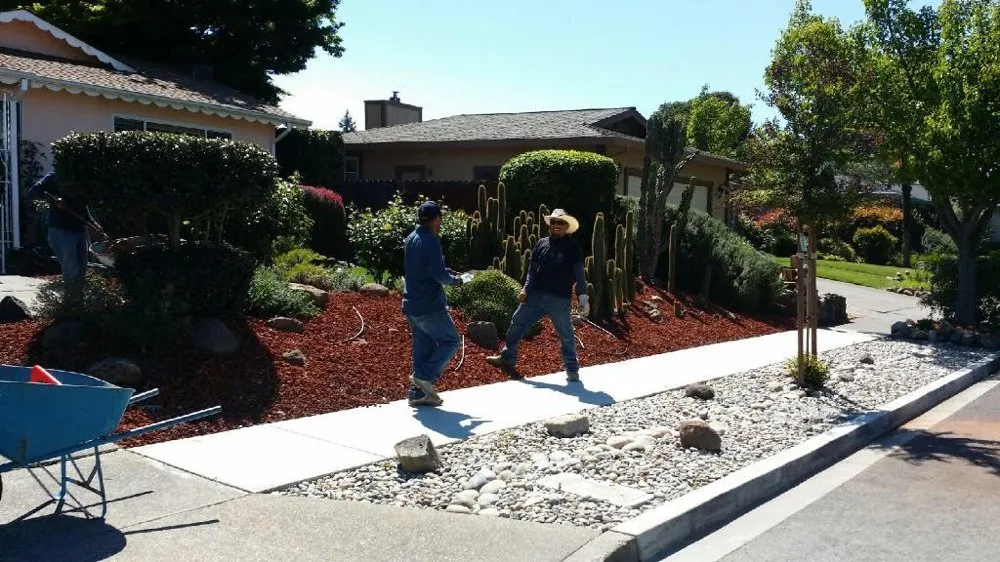 Professional yard cleanup service for beautiful yards across Fairfield, CA - Garcia Landscaping Maintanence