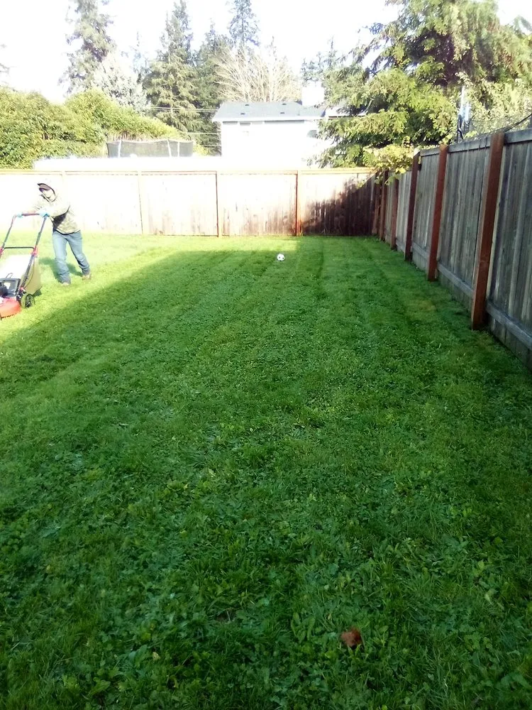 Top-rated yard maintenance in Federal Way, WA by Garcia Landscaping Professional