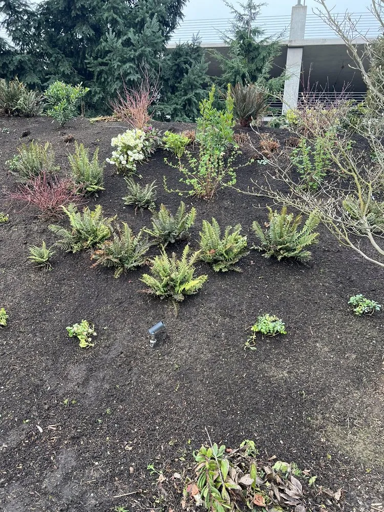 Professional landscape design for beautiful yards in Federal Way, WA by Garcia Landscaping Professional