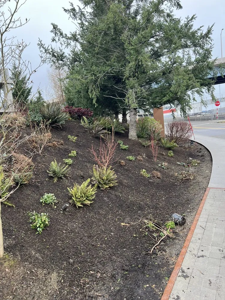 Professional yard cleanup service for homes in Federal Way, WA by Garcia Landscaping Professional