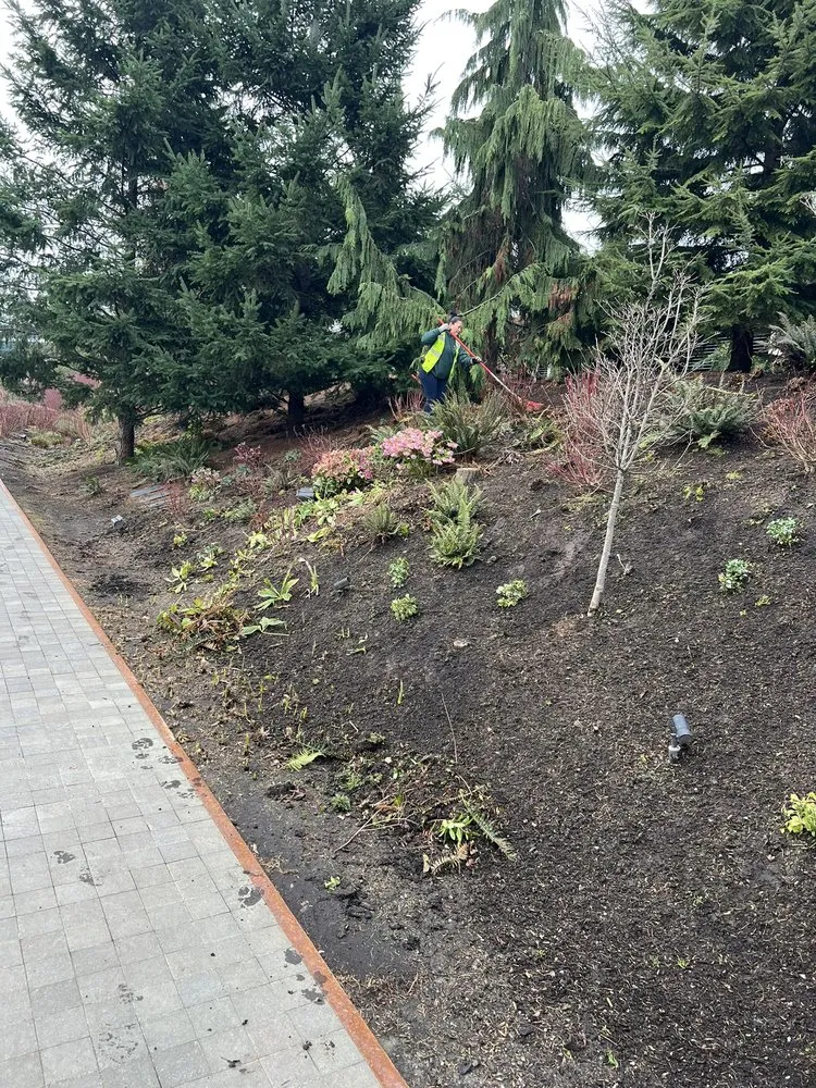 Custom garden landscaping for year-round maintenance across Federal Way, WA - Garcia Landscaping Professional