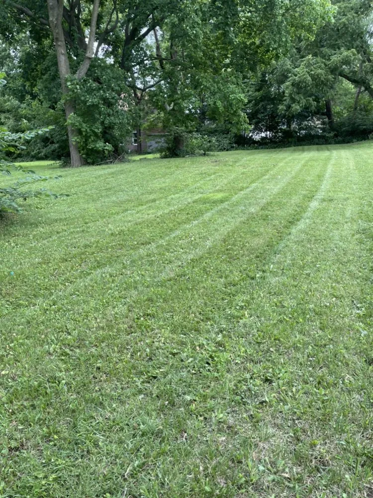 Custom yard maintenance for homes in Rockford, IL by Garcia Landscaping