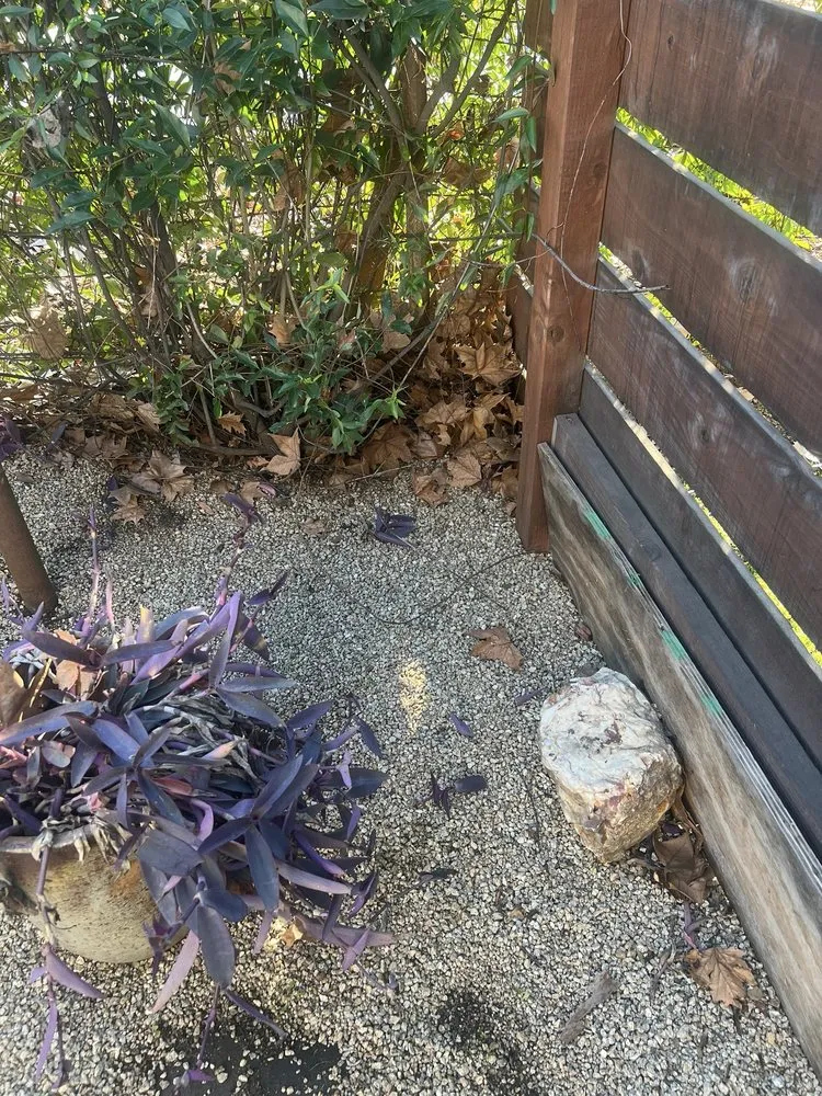 Top-rated yard maintenance in Roseville, CA by Garcia Landscaping