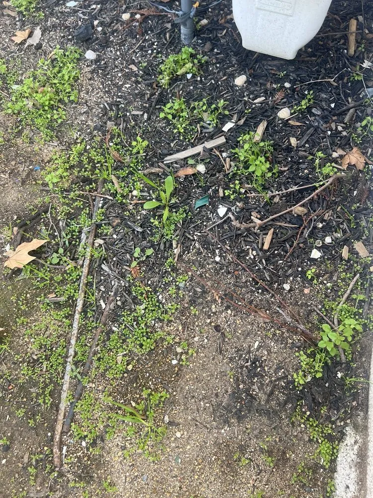 Reliable residential landscaping experts serving Roseville, CA - Garcia Landscaping