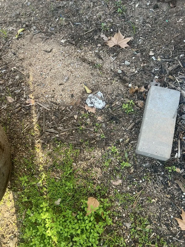 Trusted outdoor landscaping in Roseville, CA by Garcia Landscaping