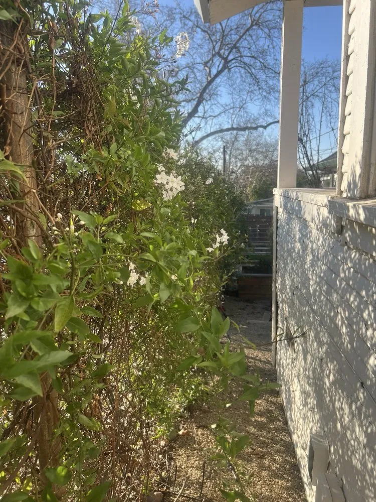 Reliable yard cleanup service experts serving Roseville, CA - Garcia Landscaping