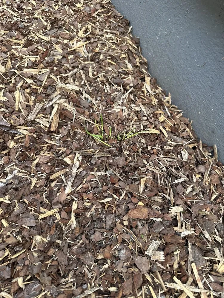 Custom lawn care service for homes in Spotsylvania, VA by Garcia Landscaping