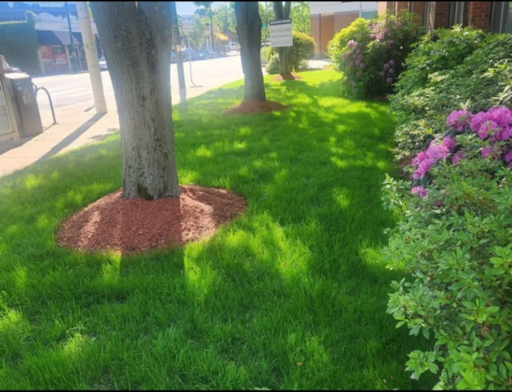 Expert residential landscaping for residential properties across Waltham, MA - Garcia Landscaping