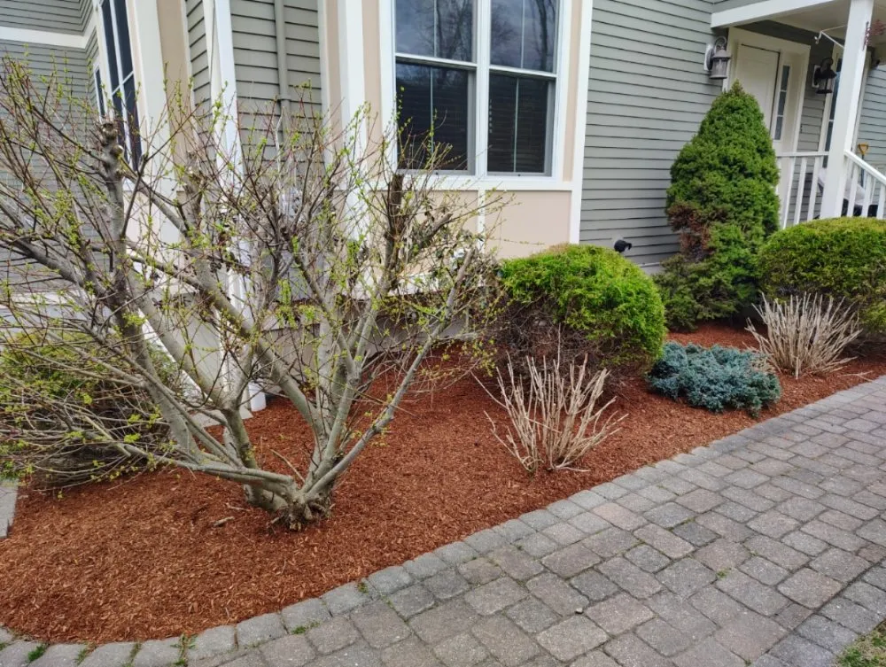 Top-rated outdoor landscaping experts serving Waltham, MA - Garcia Landscaping
