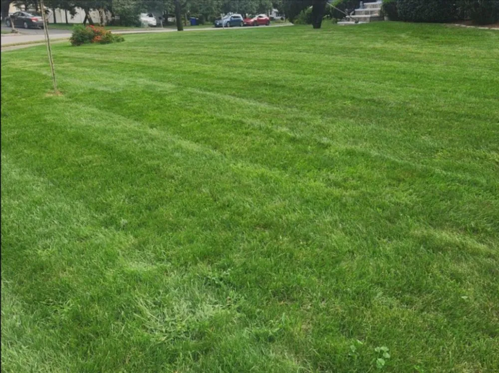 Custom residential landscaping for year-round maintenance in Waltham, MA by Garcia Landscaping