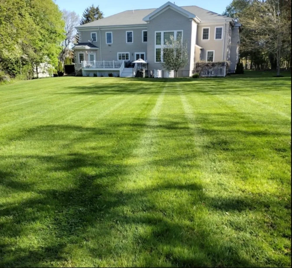 Custom yard cleanup service in Waltham, MA - Garcia Landscaping