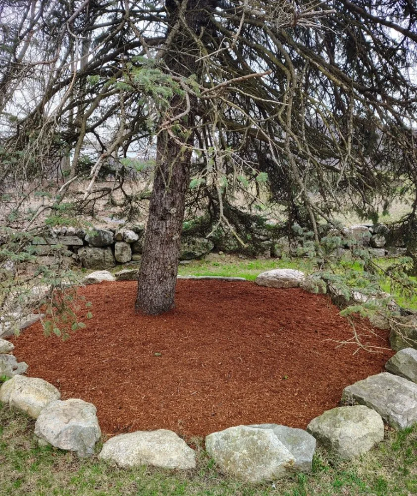 Trusted lawn care service in Waltham, MA by Garcia Landscaping