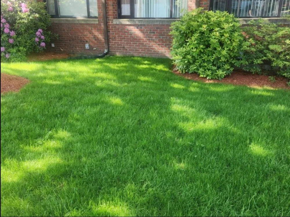 Reliable yard maintenance for outdoor upgrades in Waltham, MA by Garcia Landscaping