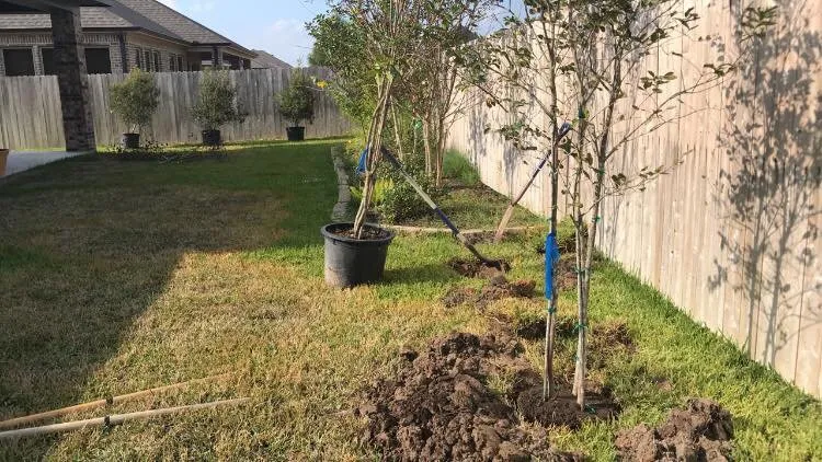 Affordable landscaping services in Brazos County, TX by Garcia Lawn and Outdoor Services