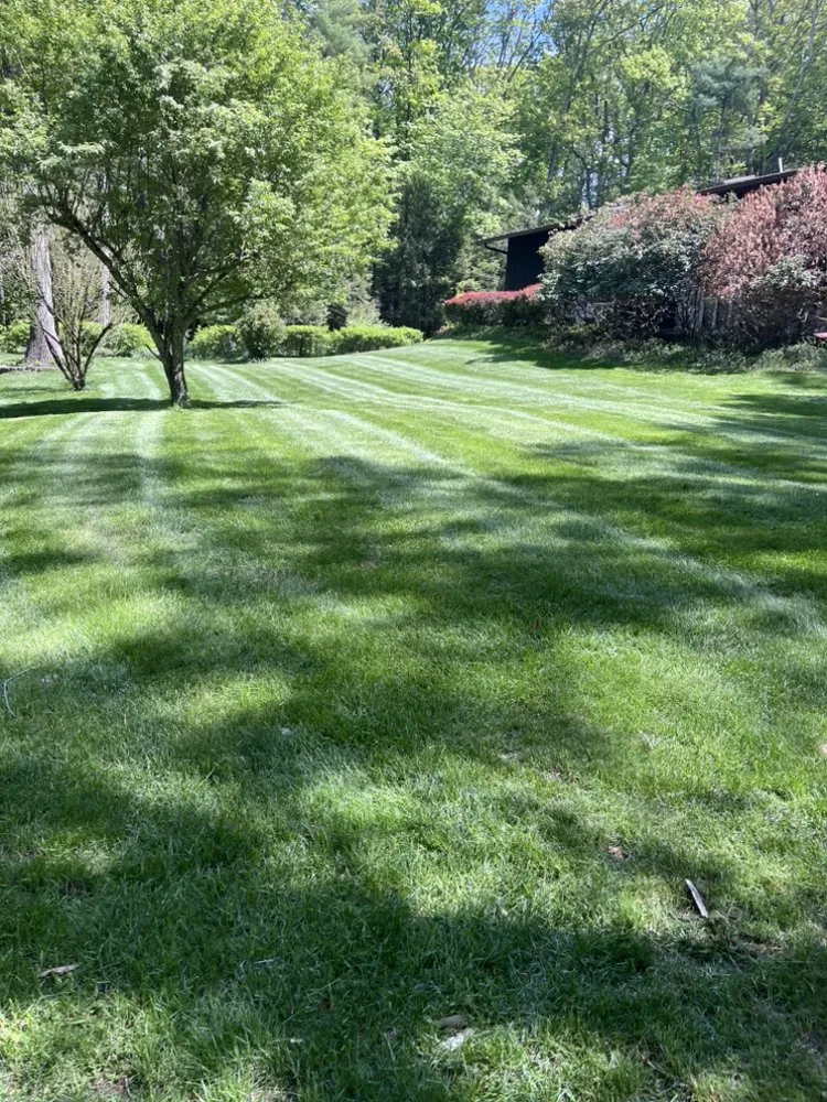 Reliable yard cleanup service in Kingston, NY by Garcia Lawn Care & Maintenance