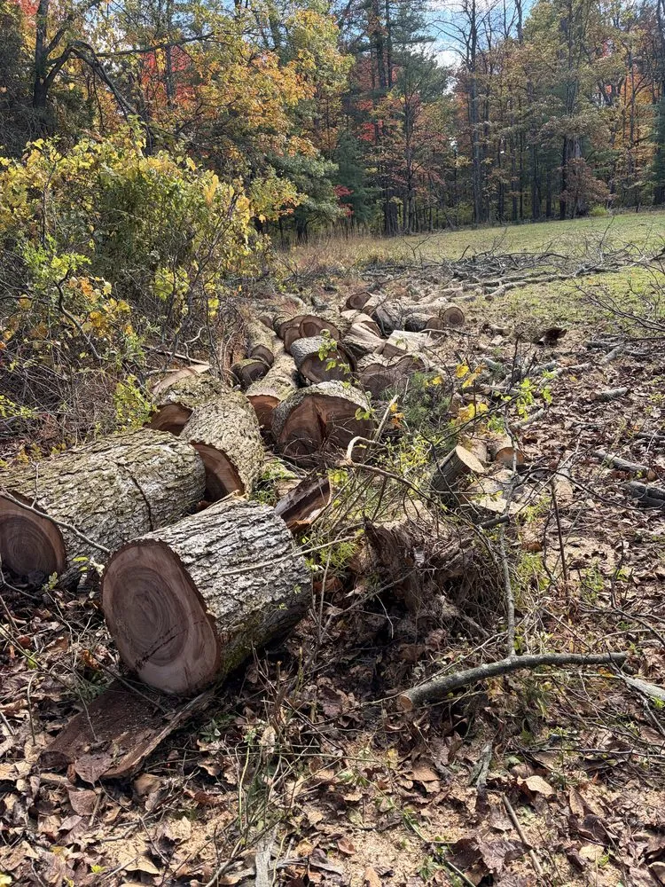 Expert yard maintenance in Kingston, NY by Garcia Lawn Care & Maintenance