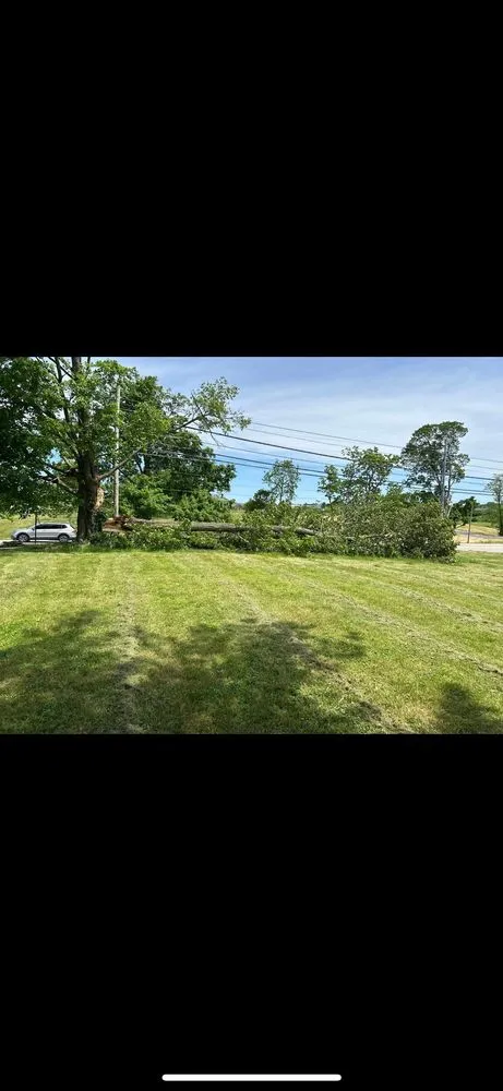 Top-rated lawn care service in Louisville, KY by Garcia Lawn Care