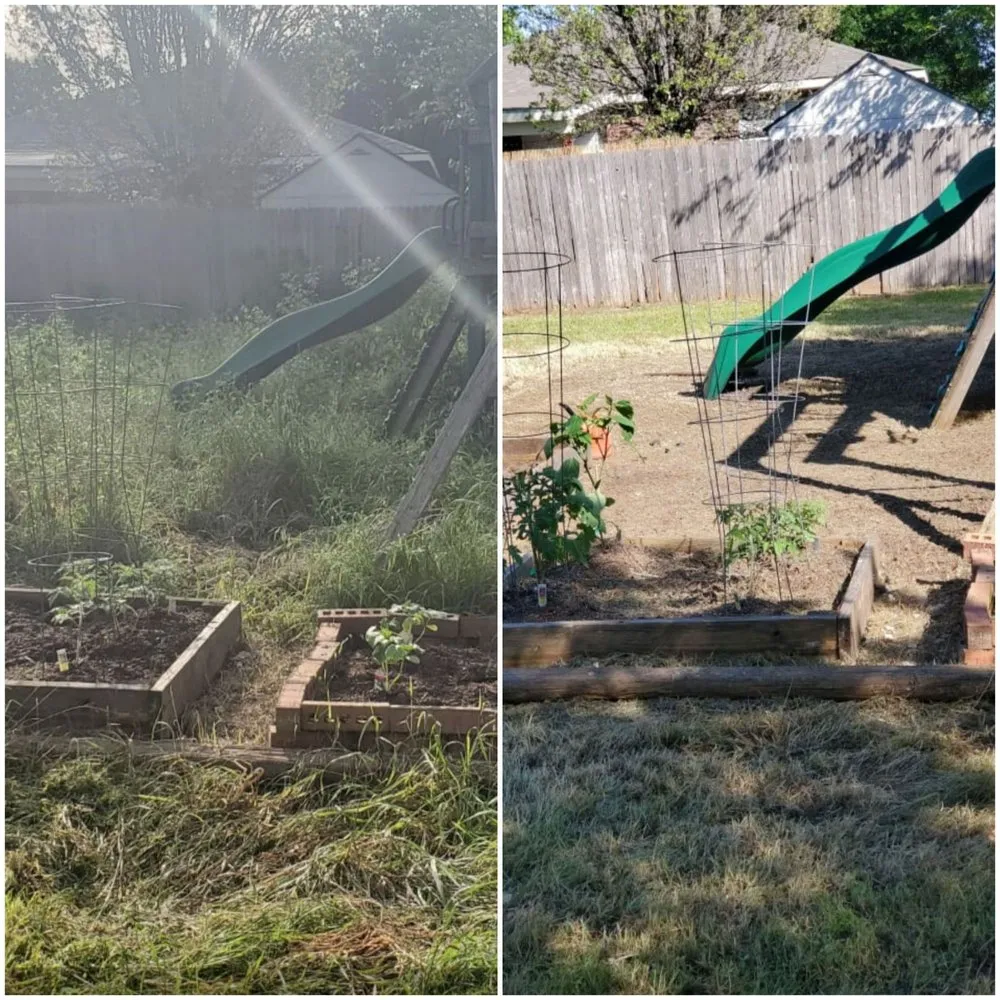 Custom yard cleanup service experts serving Austin, TX - Garcia Lawn Care Service