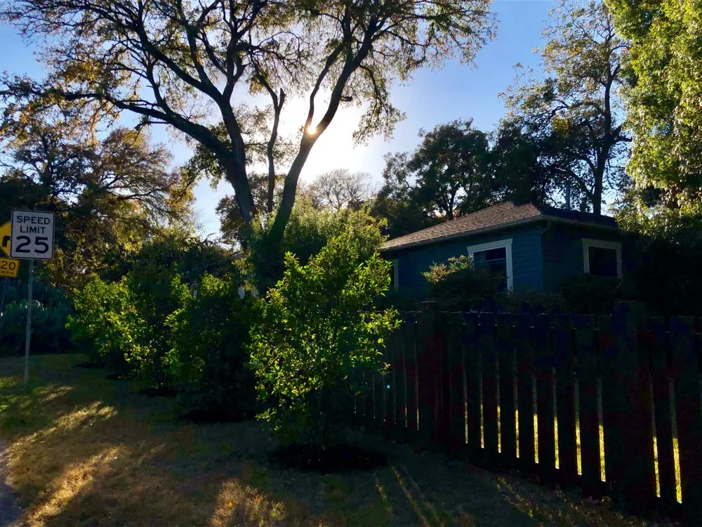 Affordable yard cleanup service with custom design in Austin, TX by Garcia Lawn Care Service