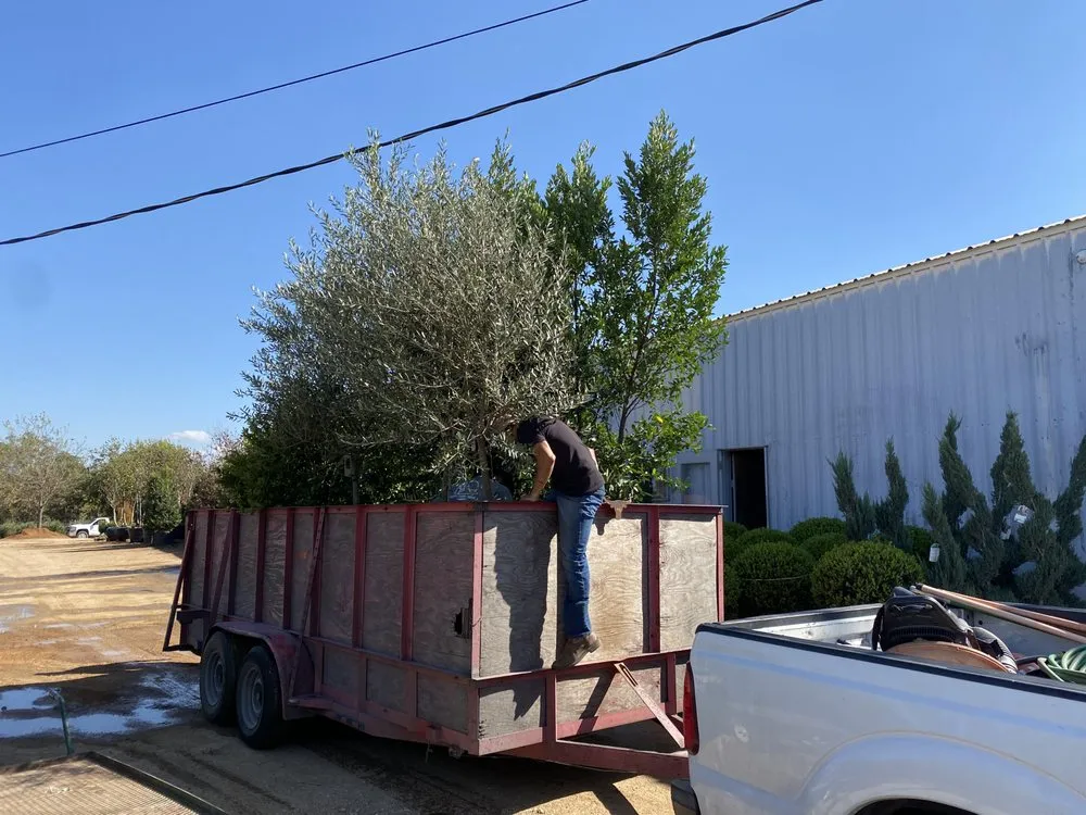 Custom residential landscaping in Austin, TX by Garcia Lawn Care Service