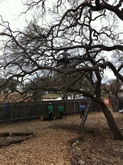 Custom outdoor landscaping for residential properties across Austin, TX - Garcia Lawn Care Service