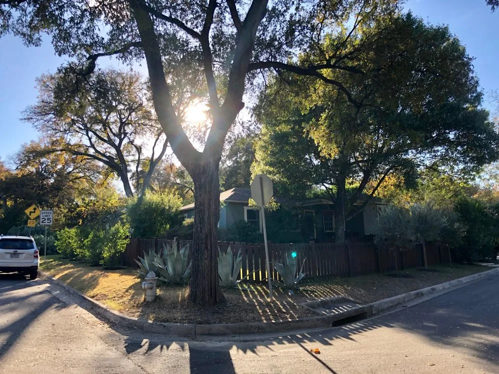 Expert outdoor landscaping near you across Austin, TX - Garcia Lawn Care Service