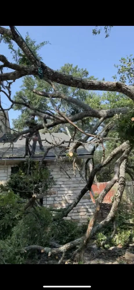 Affordable lawn mowing service in Austin, TX - Garcia Lawn Care Service