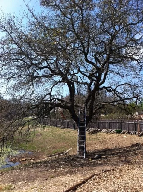 Trusted lawn care service for beautiful yards across Austin, TX - Garcia Lawn Care Service