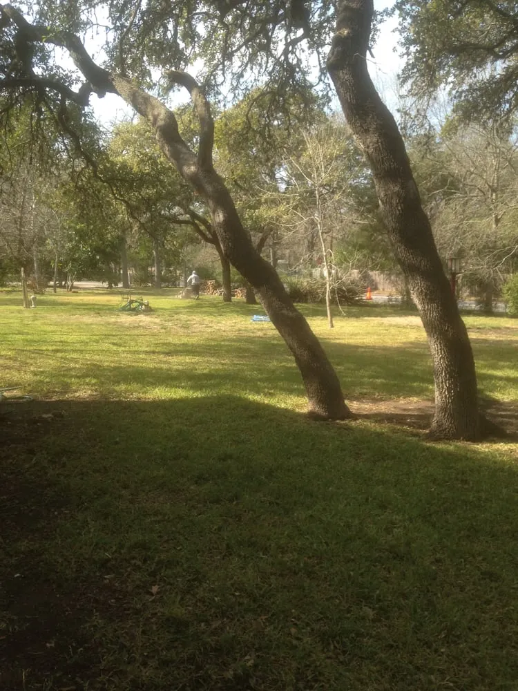 Reliable lawn care service in Austin, TX by Garcia Lawn Care Service