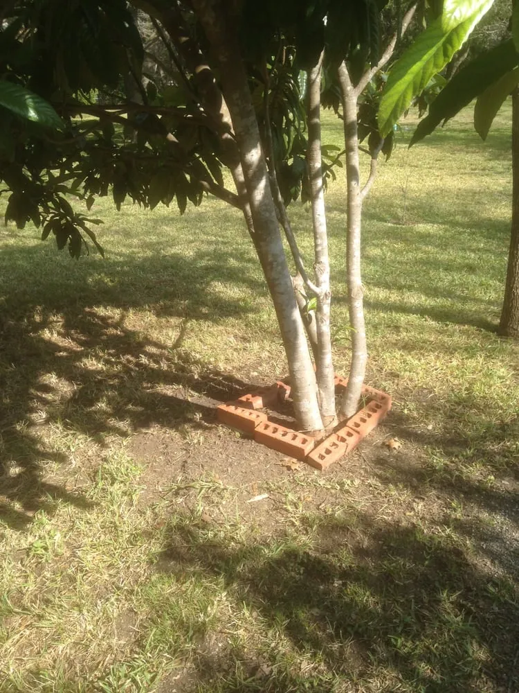 Trusted landscape installation near you across Austin, TX - Garcia Lawn Care Service