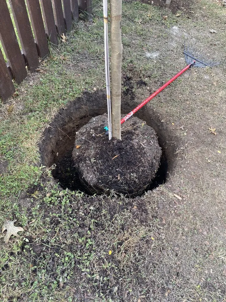 Custom yard maintenance for homes across Austin, TX - Garcia Lawn Care Service