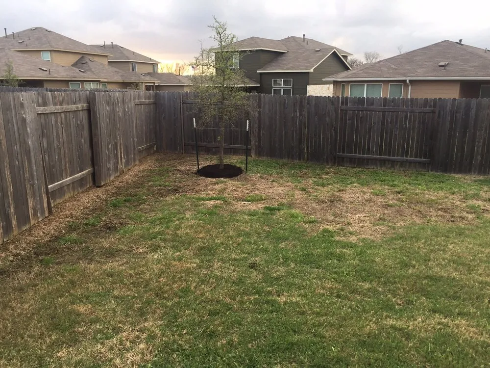Expert landscaping services experts serving Austin, TX - Garcia Lawn Care Service