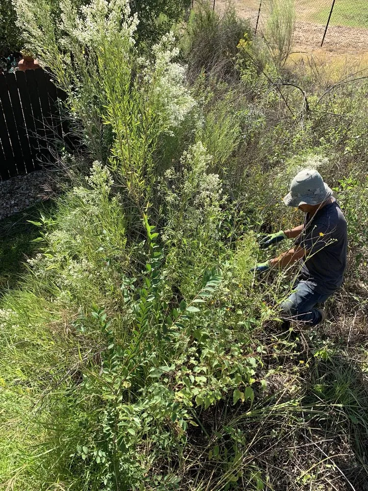 Trusted landscape design in Austin, TX - Garcia Lawn Care Service