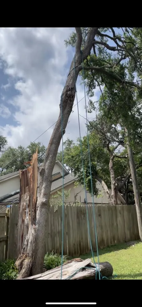 Local landscape design near you in Austin, TX by Garcia Lawn Care Service