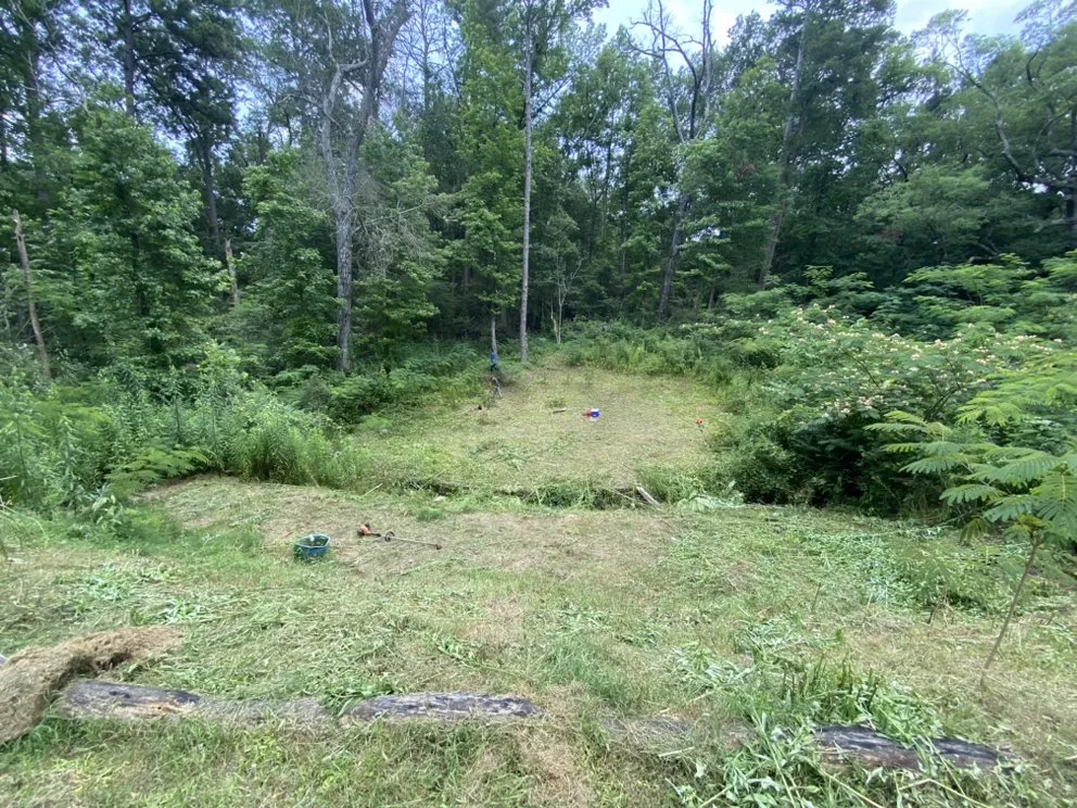 Expert yard cleanup service in Longview, TX - Garcia Lawn Care Service